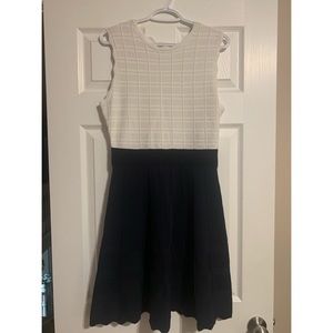 NWT Ted Baker Dress